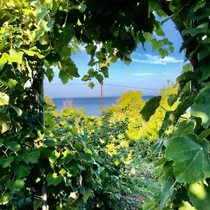 Апартаменты Hillside, Борш